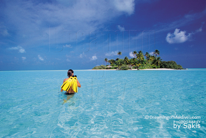Où faire de la plongée libre aux Maldives ? Petit Guide pour bien choisir son Hôtel