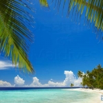 Sur une plage abandonnee...