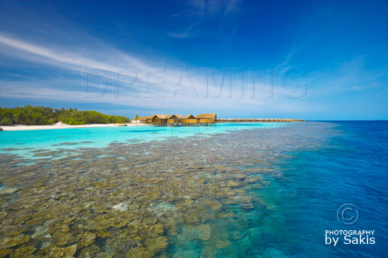 Lily Beach Maldives - Les magnifiques récifs de corail bordant l'ile