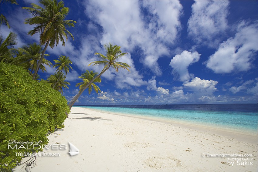 Une Plage Paradisiaque aux Iles Maldives