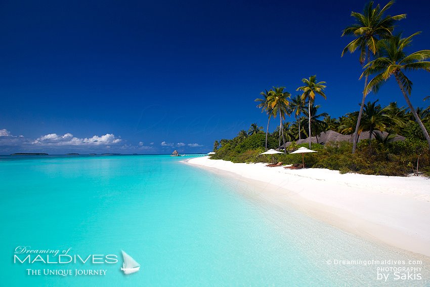 Une Plage Paradisiaque aux Iles Maldives