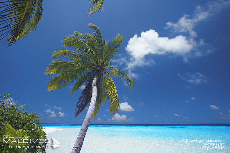 Une Plage Paradisiaque aux Iles Maldives