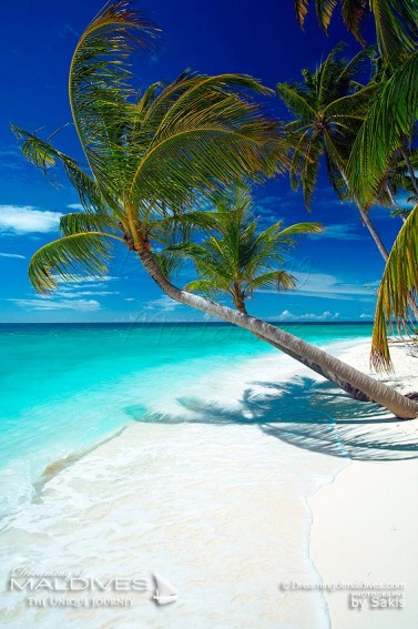 Une Plage Paradisiaque aux Iles Maldives