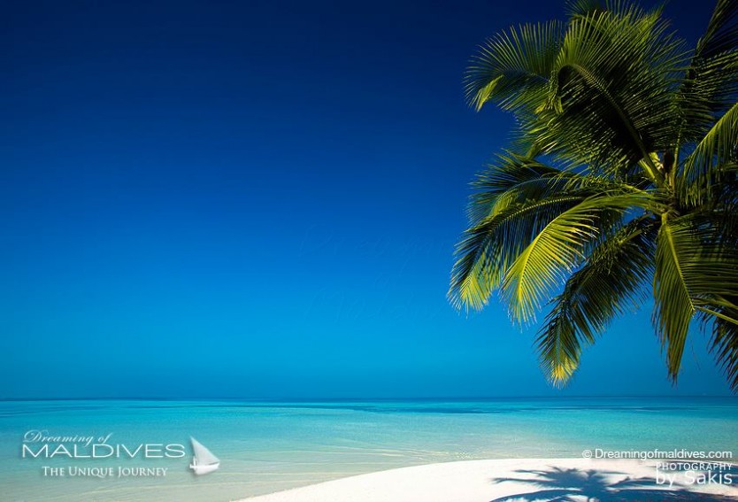 Une Plage Paradisiaque aux Iles Maldives