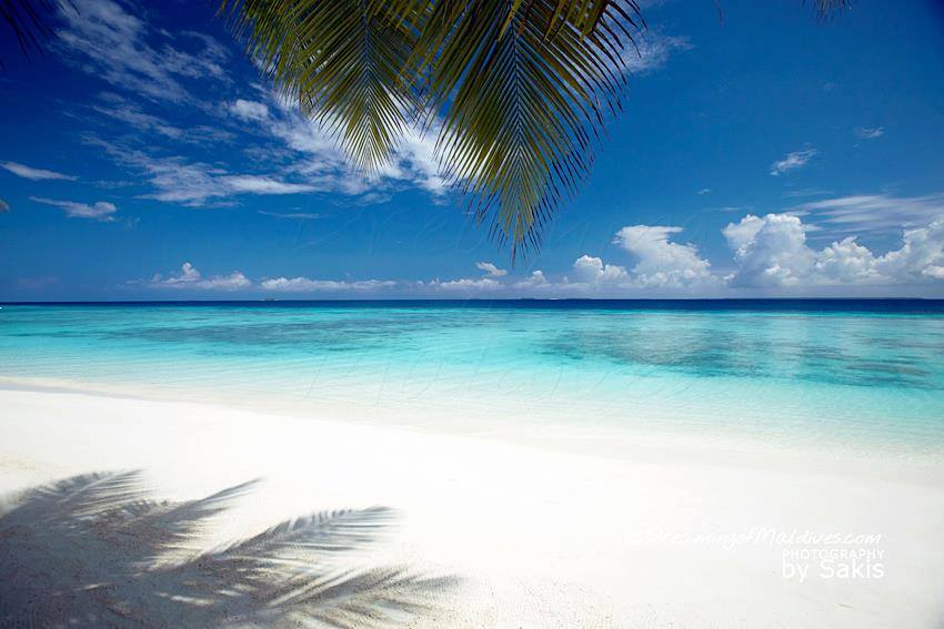 Une Plage Paradisiaque aux Iles Maldives