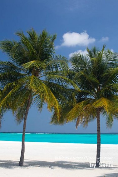 Une Plage Paradisiaque aux Iles Maldives