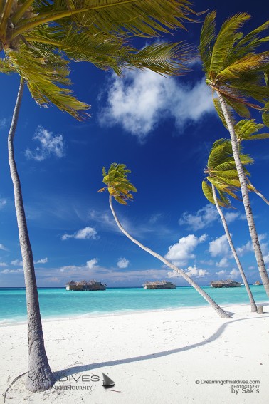 Une Plage Paradisiaque aux Iles Maldives