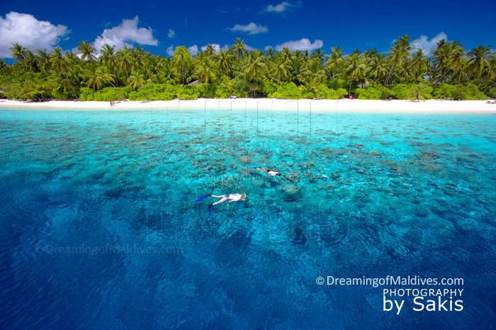 Snorkeling sur les merveilleux Récifs de Filitheyo Maldives