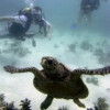 diving-north-male-atoll-maldives-initiation