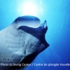 manta point north male atoll maldives