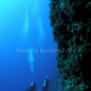 thila maldives north male atoll
