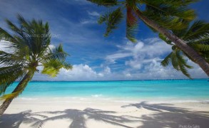 Photo of the Day : Heavenly Beach in Maldives
