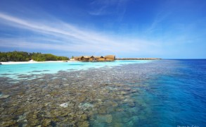 Snorkeling in Maldives, at Lily Beach Resort and Spa