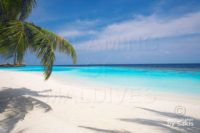 Lily Beach Resort & Spa Maldives | Photo Gallery