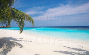 Discover Lily Beach Resort & Spa Maldives in 35 Beautiful Photos