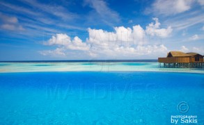 Lily Beach Maldives Video
