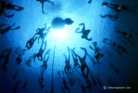 World champion free diver Umberto Pelizzari soon in Maldives at Six Senses Laamu