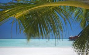 Anantara Dhigu Resort & Spa – New Maldives Dreamy Resort of The Month !