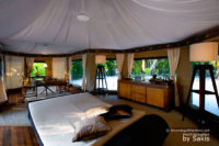 Photo of The Day : Banyan Tree Madivaru