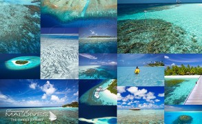 The Best Maldives Resorts for Snorkeling we’ve seen & a Small Guide to Snorkeling