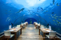 Conrad Maldives Rangali Island underwater restaurant Most Beautiful Restaurant in the World