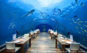 Conrad Maldives Rangali Island’s underwater restaurant rated as Most Beautiful Restaurant in the World