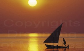 Welcome to the Official Blog of Dreaming of Maldives