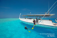 Diving at Baros Maldives. North Male Atoll