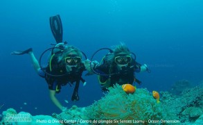 Diving and Snorkeling at Six Senses Laamu, Laamu Atoll. Interview with Petra, Dive Center Manager.