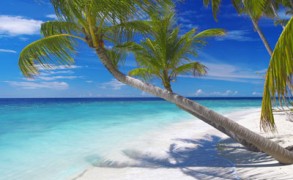 Photo of the day Maldives Heavenly Beach
