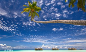 Gili Lankanfushi Maldives – New Maldives Dreamy Resort of The Month