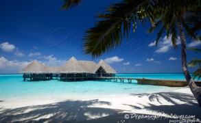 Discover Gili Lankanfushi Maldives in a unique Gallery of 48 beautiful Photos