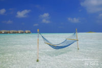 Photo of The Day : Water Villas + Hammock + Lagoon + Desert Island = Maldives