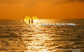 Happy Valentine !