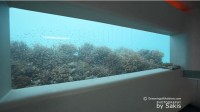 Video of Huvafen Fushi Maldives underwater Spa