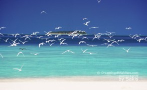 July 26th 2012. Happy 47th Independence Day Anniversary to the Maldives !
