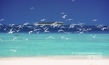 July 26th 2012. Happy 47th Independence Day Anniversary to the Maldives !