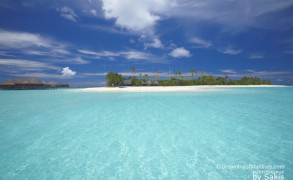 Diving and Snorkeling at Hilton Maldives Iru Fushi, Noonu Atoll. Interview with Saeed, Dive Center Manager