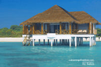 Island Hideaway Maldives Island Hideaway Maldives