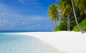 Photo of the Day : Maldives or The Dream of a Perfect Beach