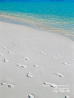4 essential Green Rules when holidaying in Maldives plus a Must-See Video
