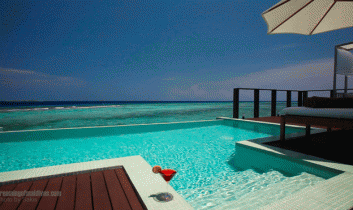 Photo of The Day : Bringing Life To Your Maldives Dreams