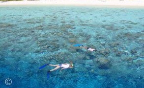 Photo of the day Snorkeling at Filitheyo Resort Maldives