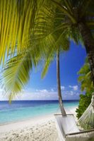 Maldives...Another busy day in Paradise