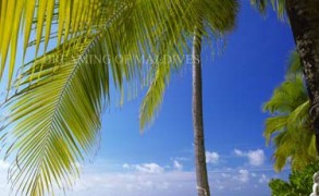 Maldives…Another busy day in Paradise