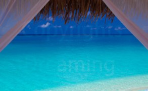 Maldives Resort | Dreamy Window