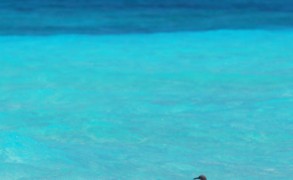 Photo of the Day : Romance in Maldives
