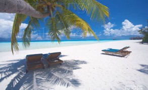 Photo of the Day : Maldives. Under the Shade of a Coconut Palm