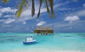 Diving and Snorkeling at Meeru Island Resort, North Male Atoll. Interview with Ingrid, Dive Center Manager