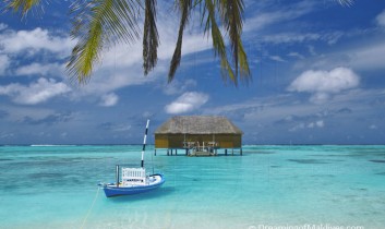 Diving and Snorkeling at Meeru Island Resort, North Male Atoll. Interview with Ingrid, Dive Center Manager